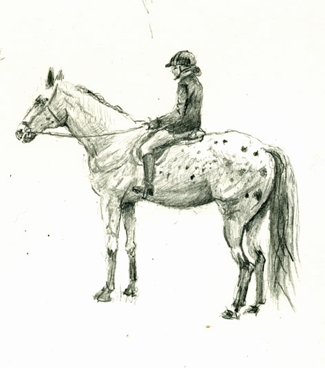 drawing-horse-4