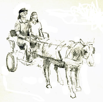 drawing-pony-cart