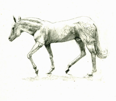 horse 2019