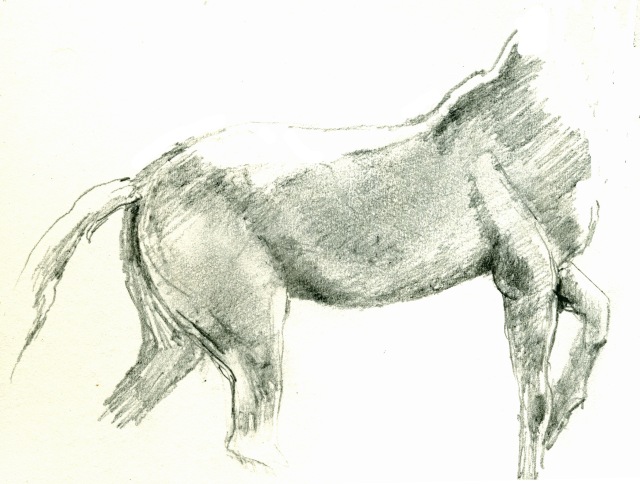 horse study